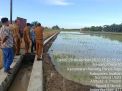 Peninjauan Aset Pemerintah Daerah di Rawang Baru Kecamatan Panca Arga