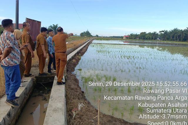 Peninjauan Aset Pemerintah Daerah di Rawang Baru Kecamatan Panca Arga