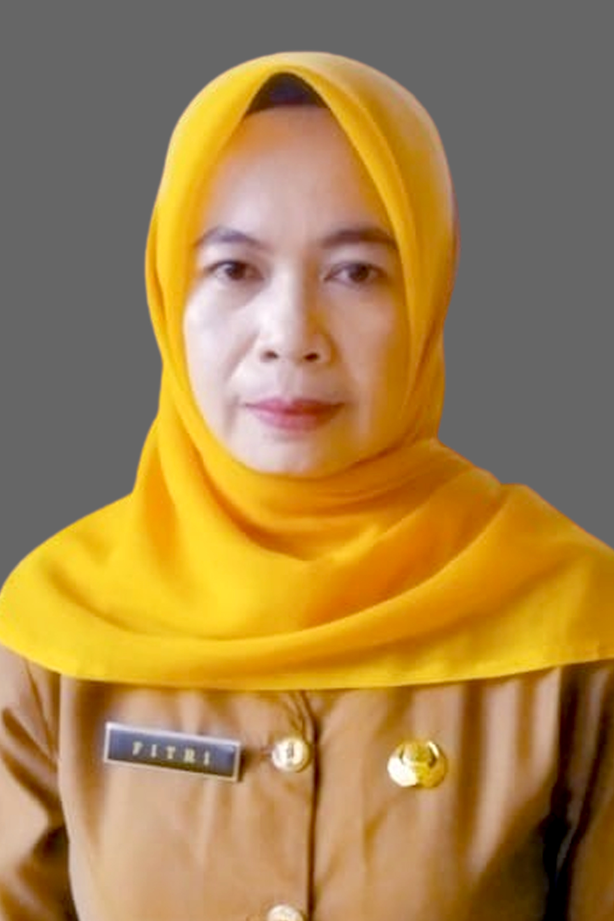 AUDITOR PERTAMA