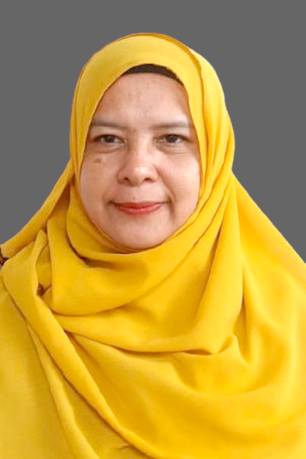 AUDITOR MUDA