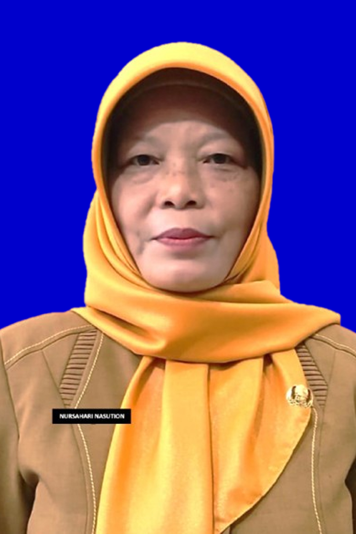 INSPEKTUR PEMBANTU I
